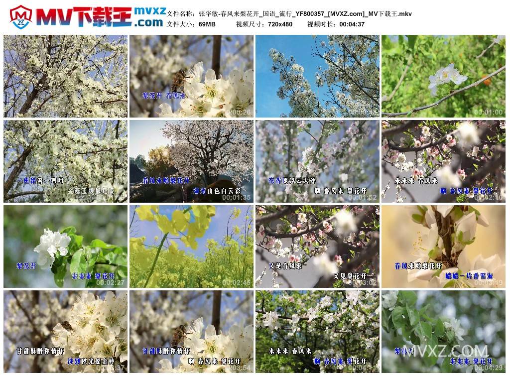 张华敏-春风来梨花开_国语_流行_YF800357